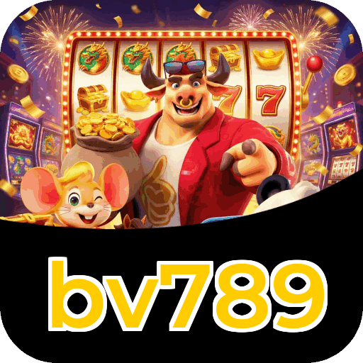 Métodos de pagamento aceitos na bv789